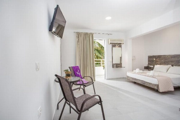 Anika Studios image 29