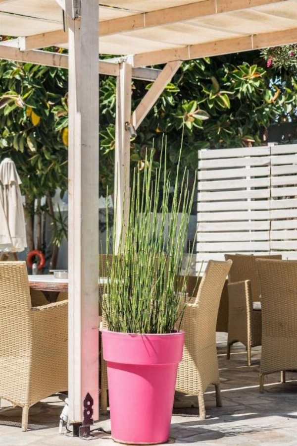 Anika Studios image 9