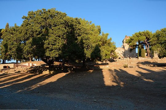 Tour image 13