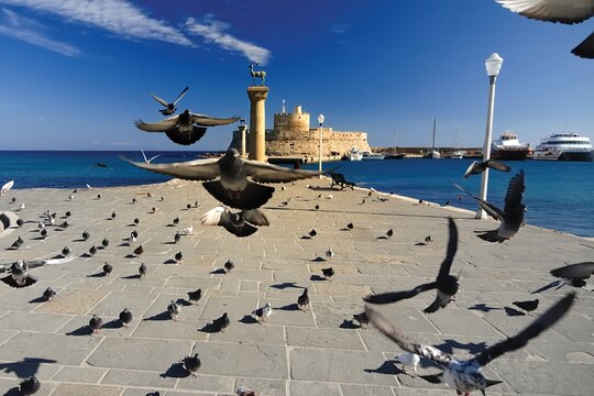 Tour image 5