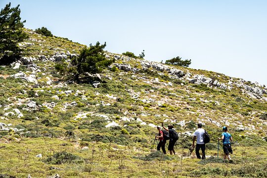 Tour image 13